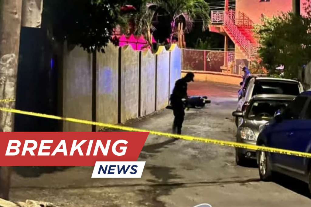 Male shot dead in Purcell Estate